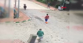 Boğa kendisini öldürmek isteyenleri kovaladı