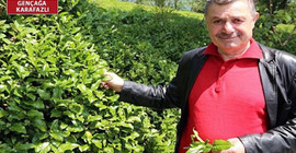 'Bakan sermayenin dediğini yaptı, 210 bin üreticiyi mağdur etti'