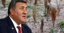 Fethi Gürer: 11 milyon fidan kampanyasında dikilen fidanlar kurudu