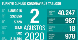 Türkiye'nin Coronavirus tablosu: Ortaya çıkacak sonuçları açısından kaygı verici