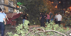 Kadıköy’de ağaç devrildi: 3 yaralı