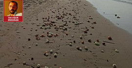 Adana'da soğan ihracatı durdu, üreticinin kaybı sahile vurdu