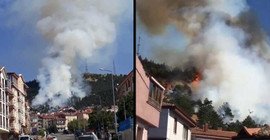 Ankara'da orman yangını