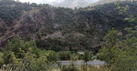 Korucu kulübesi için köylülerin tapulu arazisinde ağaç kesimi: İhale açıldı