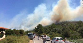 Çeşme'de önce orman yangını, sonra yol çalışması