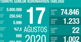 Türkiye'de Coronavirus vaka sayısı 250 bini geçti, ağır hasta sayısı artıyor