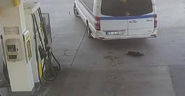 Yavru köpeği ezerek öldüren Özkan Ç. serbest