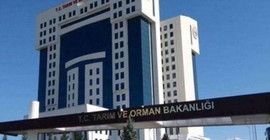 Mahkemeler bakanlığın şikayetini reddetti: ‘Muz cumhuriyeti’ ifadesi eleştiri dedi, beraat verdi