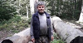 Kestiği ağacın altında kaldı