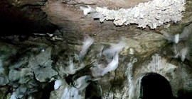 Varto'da Urartu kaya mezarlarında yaşayan yarasalar koruma altına alındı