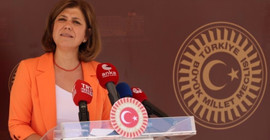 HDP'li Beştaş'tan Demirtaş paylaşımına tepki: Kaç tane troll hesabın var? Zaten sizler birer troll'sünüz