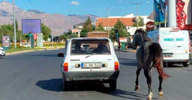 Arabaya bağladıkları atı kilometrelerce koşturdular