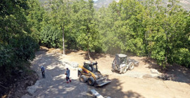 812 yaşındaki çınarın çevresindeki beton yapılara yıkım kararı