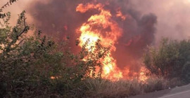 Mersin ve Hatay'da orman yangını