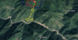 Rize'deki doğa katliamı Meclis'e taşındı