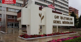 ÇAYKUR'da işçilerden 'taşeron' tepkisi: Bu ayrımcılıktır, adaletsizliktir