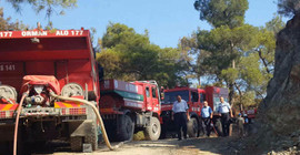 Muğla'da orman yangını
