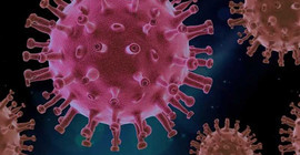 Uzmandan bilgi kirliliğine karşı uyarı: 8 kez Coronavirus geçirmek abartıdır