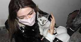 'Aşık' isimli kedi, İzmir depreminden 42 gün sonra kurtarıldı