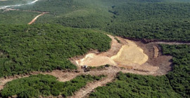 Ormanlık alanda açılacak maden ocağı için bin 500 ağaç kesilecek