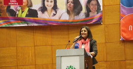 HDP’li vekile 'Taybet Ana' sorgusu