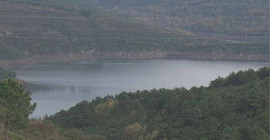 İstanbul'da yağışlar etkisini gösterdi: Barajlarda doluluk oranı arttı