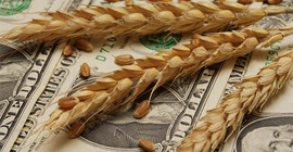 Çin ve diğer ithalatçıların talebi arttı: Buğday fiyatları altı yılın zirvesine çıktı