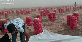 İşçilerin TikTok’ta çektiği videolar sinemaya aktarıldı