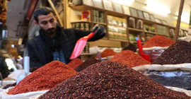 Urfa'ya 'İsot Müzesi' kuruluyor: Dünyanın acısını paylaşacağız