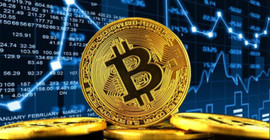 Alo Fetva Hattı'na 155 bin soru soruldu: Bitcoin merak edildi