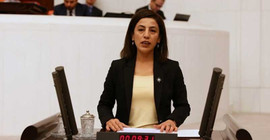 HDP, göçmen kadınların yaşadıklarını Meclis'e taşıdı: Merdiven altı kliniklerde doğum yapmak zorundalar