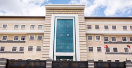 HDP'li belediye meclis üyesi gözaltına alındı