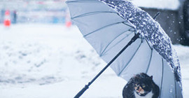 Meteoroloji uyardı: Sağanak, yağmur, kar ve fırtına