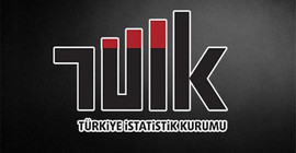 TÜİK Başkanı Cahit Şirin bir yılı dolmadan görevden alındı