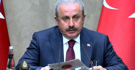Meclis Başkanı Şentop, AKP'li Özlem Zengin'e sahip çıktı