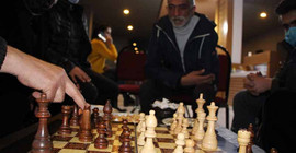 Bingöl Karlıova'da, sokak hayvanları için satranç turnuvası düzenlendi