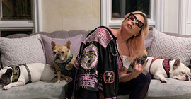 Lady Gaga'nın köpekleri çalındı: Geri getirene 500 bin dolar ödül vaat etti