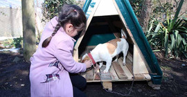 Hastalanan köpeğini sırtında veterinere götüren Cemre’ye destek