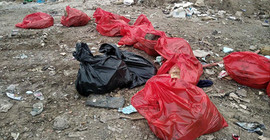 Ankara Gölbaşı'nda molozların arasında 20 ölü köpek bulundu