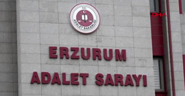 İlçe eş başkanına hapis cezası ve tahliye