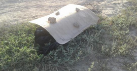 Karton altında bir kadın cesedi bulundu