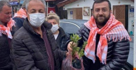 Orman İşletme Şefliği'ne ait fidanları AKP İlçe Başkanı dağıttı
