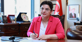 Sağlık Bakanı yardımcısı Emine Alp Meşe görevden alındı, yerine Tolga Tolunay atandı
