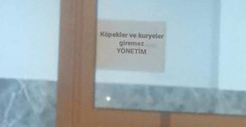 Site girişine, 'Köpekler ve kuryeler giremez' yazısı astılar