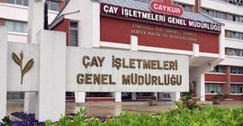 Varlık Fonu'na devredilene kadar kârda olan ÇAYKUR 547 milyon lira daha zarar açıkladı