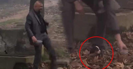 Filmde rol için yavru köpeğe işkence yapıldı