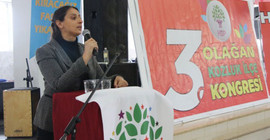 HDP'li Feleknas Uca: AKP'nin gidişi 2023'ten önce olacak