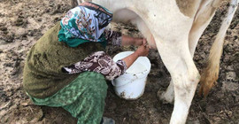 Hayvancılık sektöründeki kriz market fiyatlarına vurdu