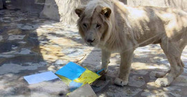 ABD seçimlerini doğru tahmin eden Pamuk, Süper Lig için de seçimini yaptı