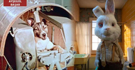 Layka'dan Tavşan Ralph'e hayvanlar hala kurtarılmayı bekliyor